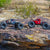 Redcat Ascent-18 APEX - 1/18 Scale Brushless Electric Rock Crawler